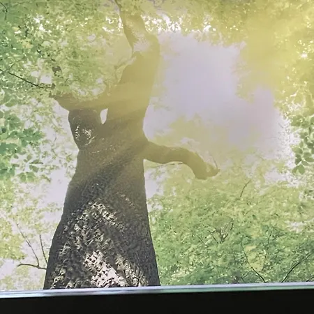 Zumglückfrei Apartment