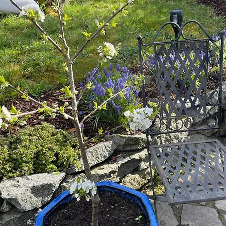 Zumglückfrei Apartment *