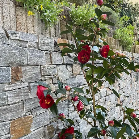 Zumglückfrei Apartment Passau