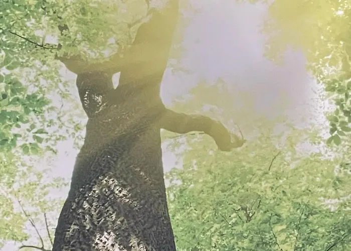 Zumglueckfrei Apartment