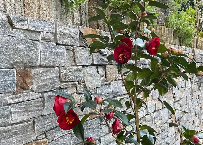 Zumglueckfrei Apartment Passau